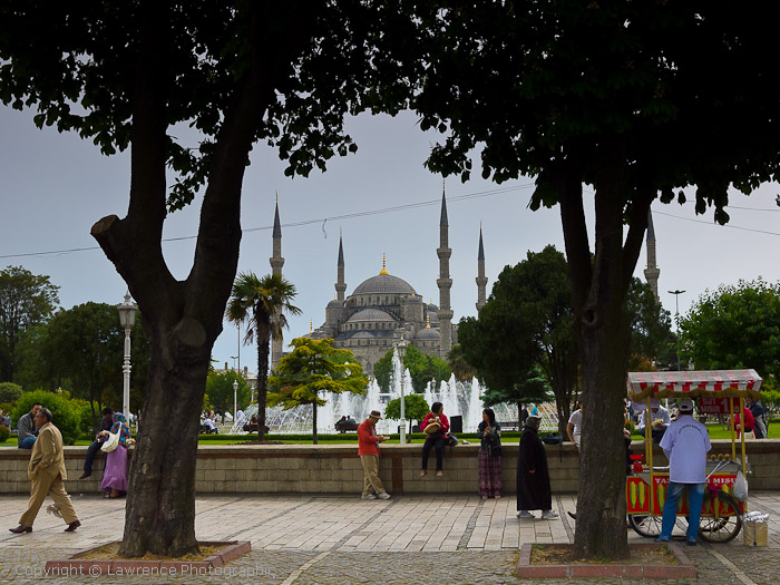 Catalogue No 003873C